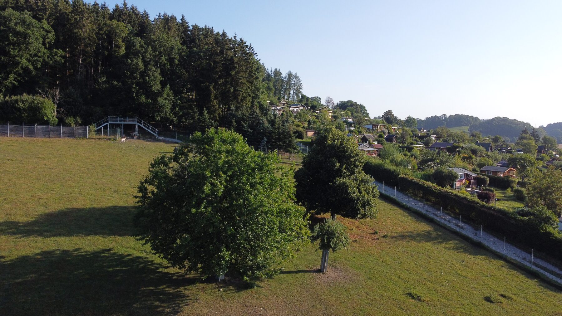 Brücke und Naturfläche am Wildgehege Kegelsberg